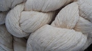 Modi government urged to regulate exports of cotton yarn 
