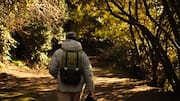 What are the benefits of nature photography walks? 