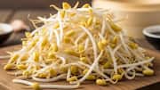 5 seeds that make the best sprouts 