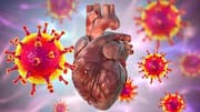 COVID-19 accelerates aging of blood vessels in women, finds study