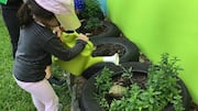 Fun ideas to teach gardening to your kids 