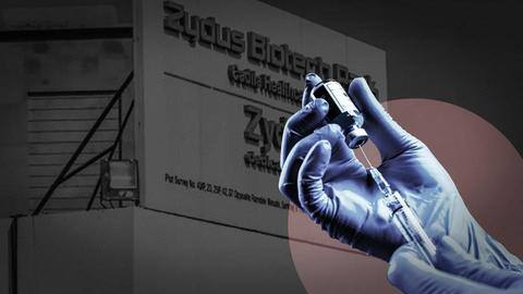 NTAGI to devise roadmap to introduce ZyCoV-D into inoculation drive NTAGI to devise roadmap to introduce ZyCoV-D into inoculation drive