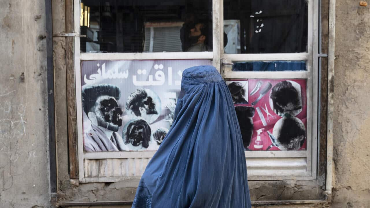 Explained: Taliban issues decree banning windows overlooking women's spaces