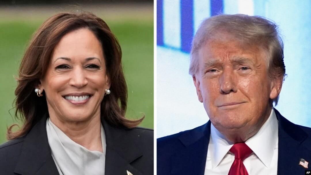 Did Trump's AI advisor donate to Harris's campaign? Here's truth