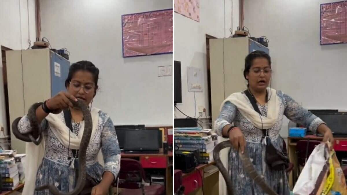 Chhattisgarh woman rescues snake hiding in office with bare hands 