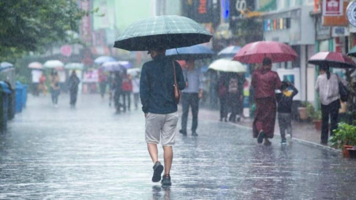 Chennai on high alert for heavy rain, schools shut