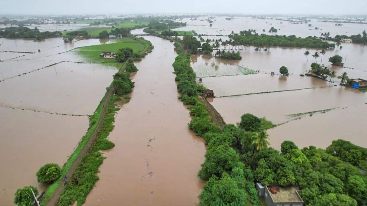 Monsoon arrives early: IMD issues red alert for Gujarat 