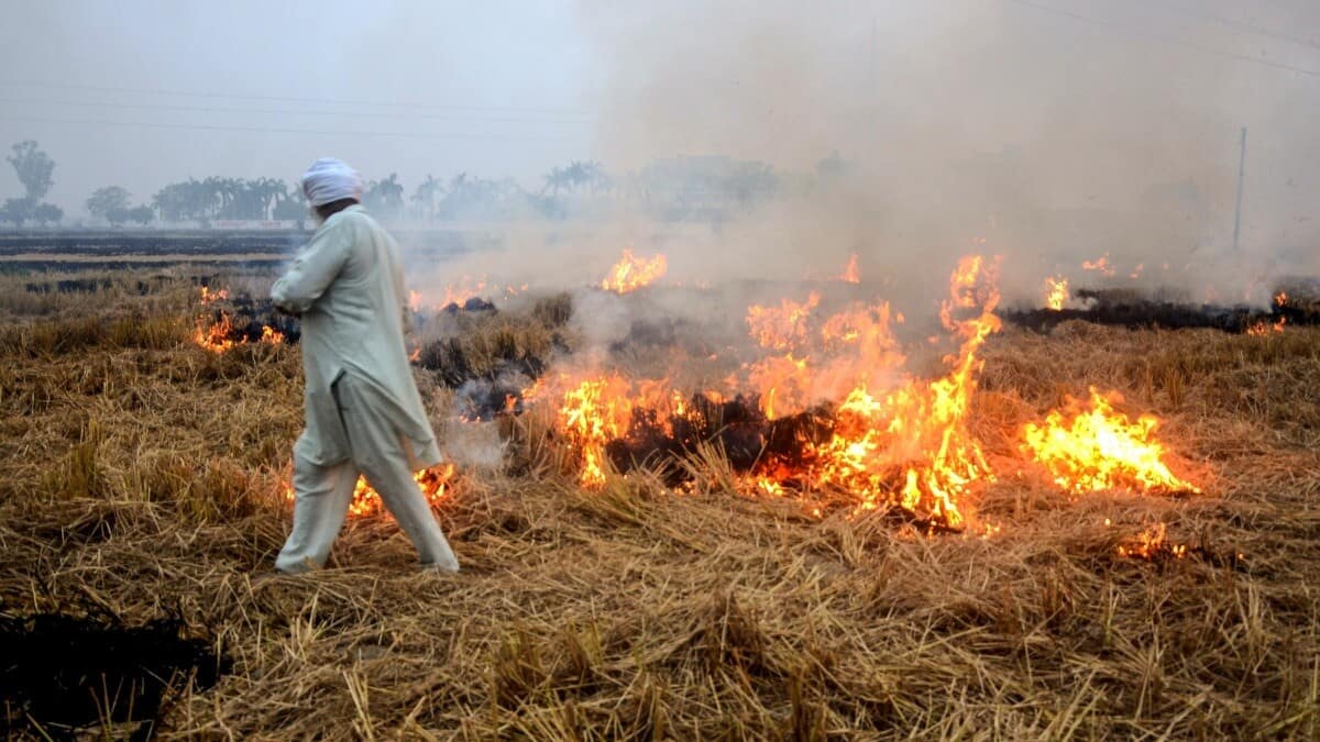 Centre to revamp farm fire detection method, take Isro help