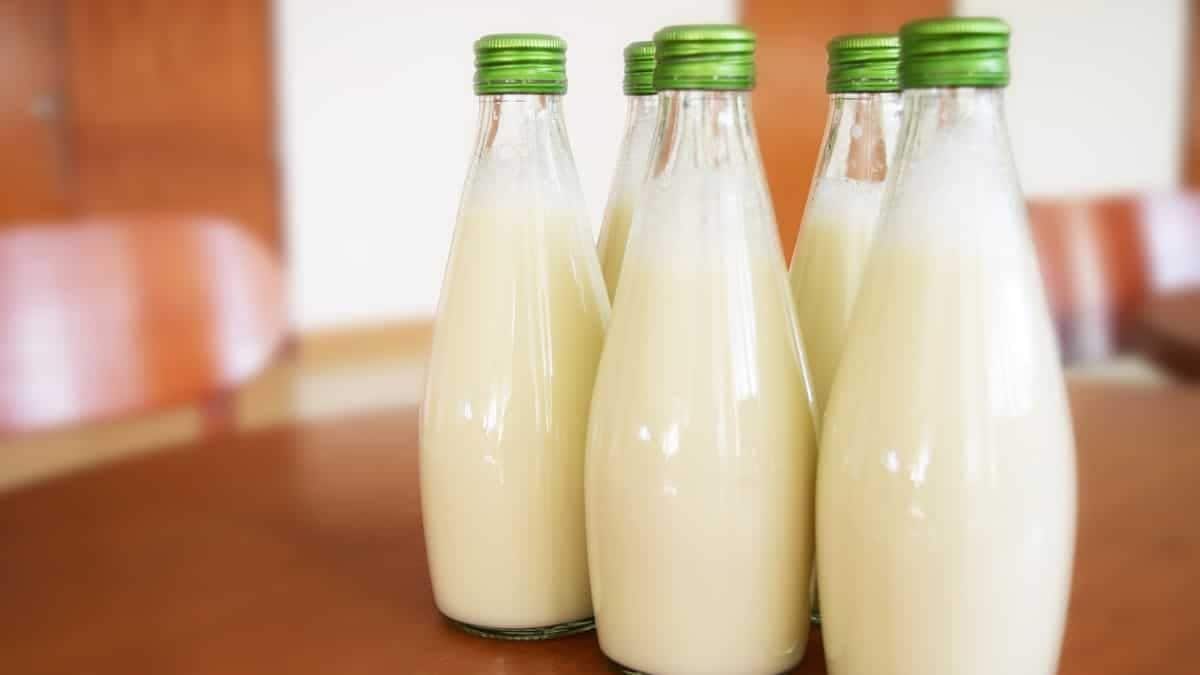 Pakistan's first human milk bank halts operations amid religious controversy