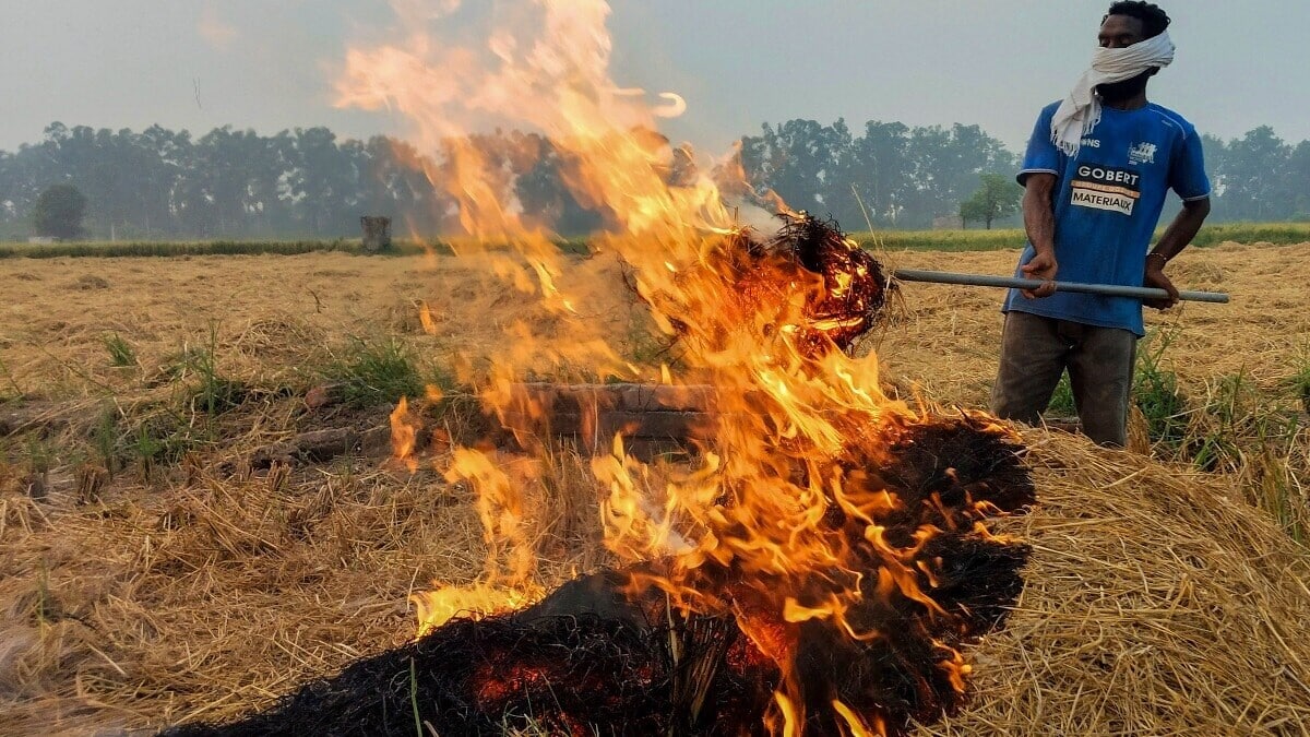 'Complete defiance...': Supreme Court blasts Punjab, Haryana over Delhi pollution