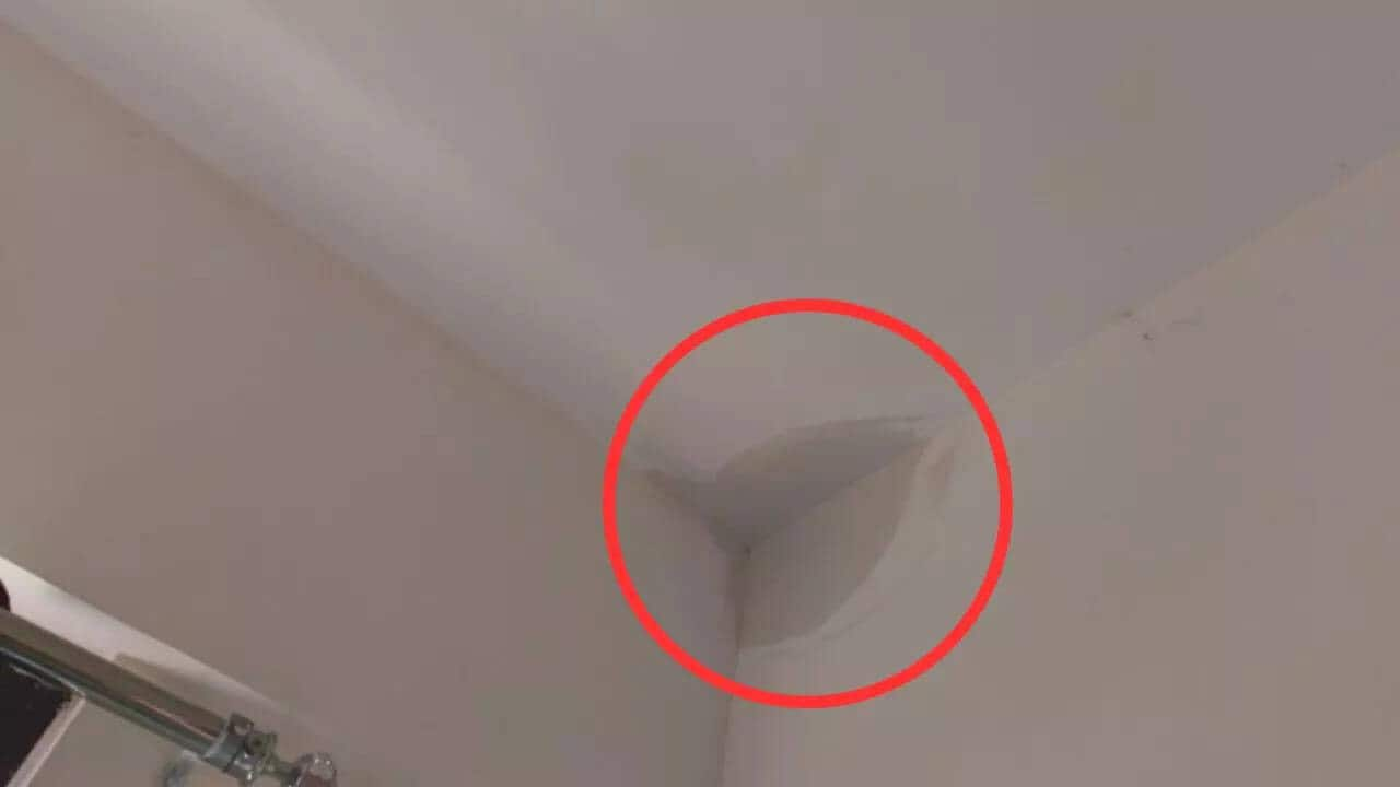 'Scam': Water leaking from ₹1.5crore apartment ceiling, says Bengaluru techie