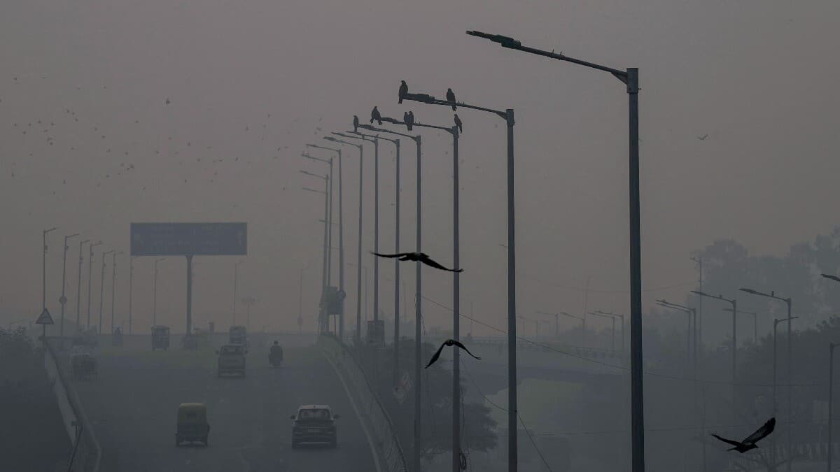 Delhi's air quality improves slightly, remains in 'severe' category