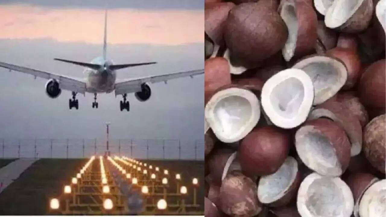 Sabarimala pilgrims can carry 'flammable' coconuts on flights: Here's how