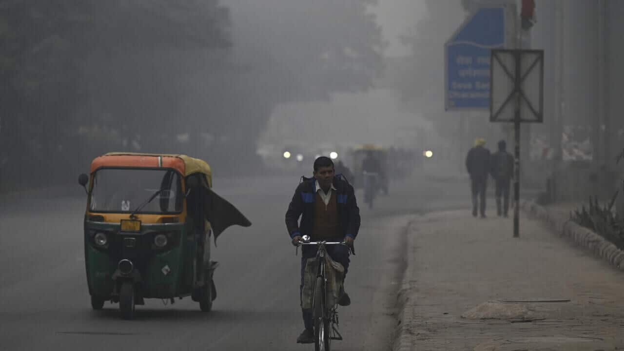 Delhi shivers in cold wave amid dense fog