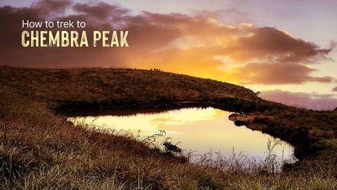 How to trek to Chembra Peak in Wayanad How to trek to Chembra Peak in Wayanad