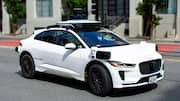 Waymo halts service in 4-cities as robotaxis struggle with floodwaters 