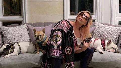 Suspects plead not guilty in kidnapping of Lady Gaga's dogs Suspects plead not guilty in kidnapping of Lady Gaga's dogs