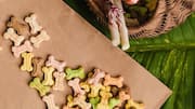 Want to keep your dog busy? Hide their treats