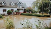 How to deal with excess rainwater in your garden 