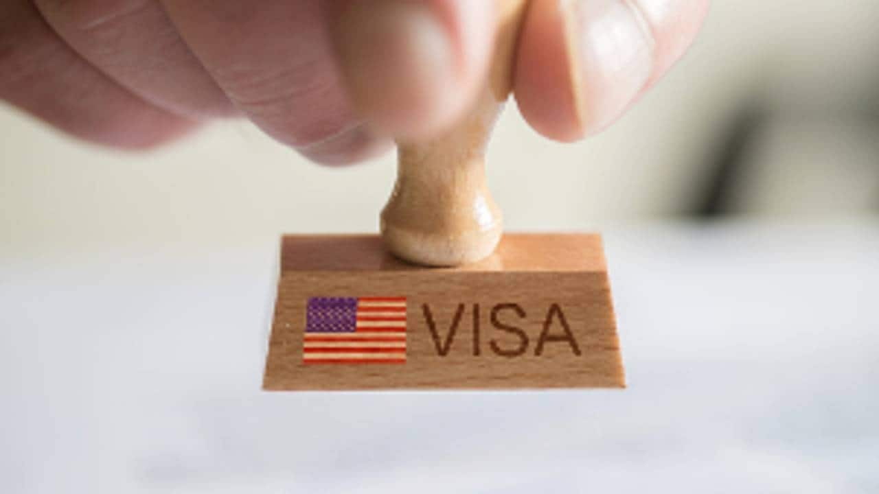 Indian tech firms secure 20% of US H-1B visas: Report