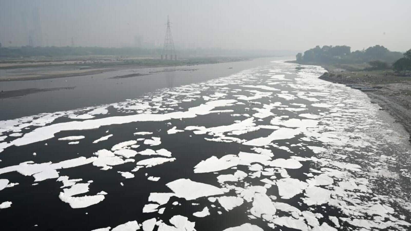 Ammonia level rises in Yamuna, may hit water supply