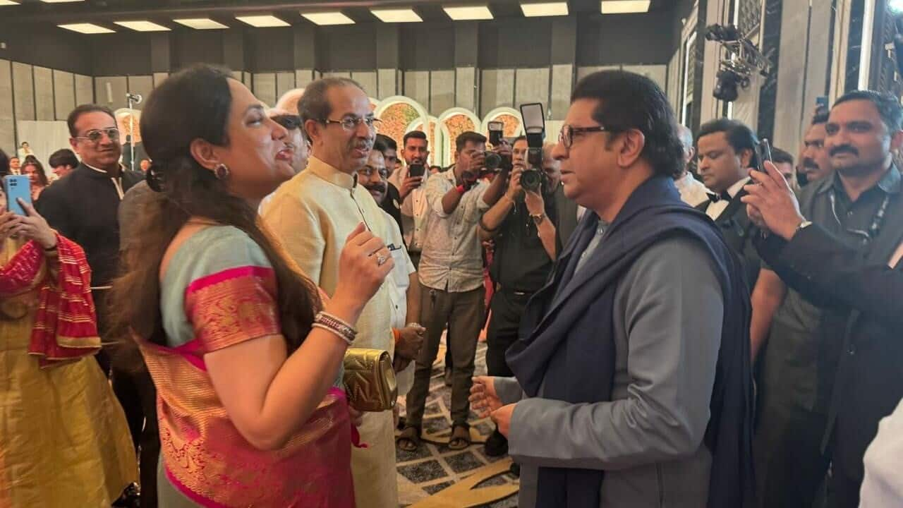 Uddhav, Raj Thackeray's pictures at wedding function spark reunion speculation