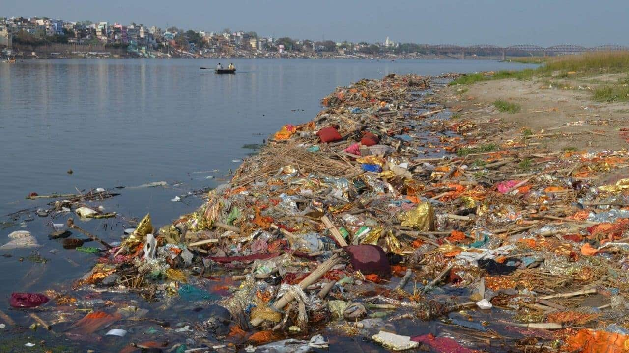 NGT flags high level of fecal bacteria in Prayagraj's Ganga 