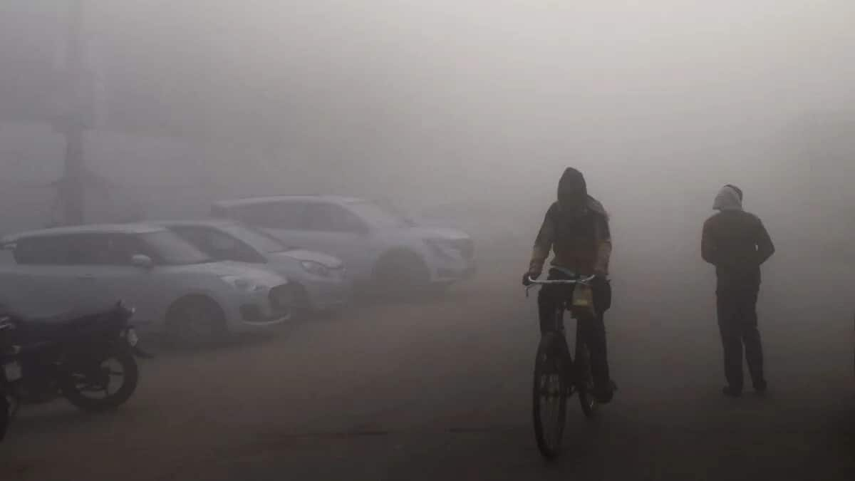 IMD predicts light rain, dense fog in Delhi/NCR