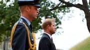 Prince William, Harry's relationship at 'all-time low': Royal expert