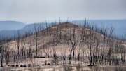 Rising seas will threaten millions of Australians by 2050: Report