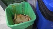 Fortis Hospital's kitchen shut over cockroaches, fungus-infested containers