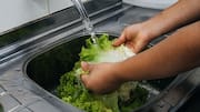 Explainer: What is cyclosporiasis outbreak affecting US states