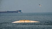 Charge-sheet filed against Navy special officer in Mumbai ferry crash