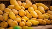 Hyderabad police launch crackdown on illegal mango ripening agents