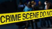 Dog found with severed human arm, police launch investigation