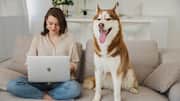4 AI tools that turn pets into comedy stars