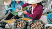 Surprising ways Peru celebrates potatoes