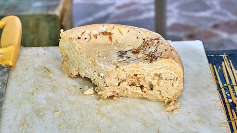 Casu Marzu: Why this cheese is dangerous yet popular 