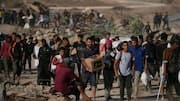 800 Gazans killed at food distribution points since May: UN  