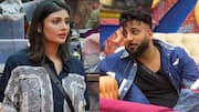 'BB 19': Housemates to decide Shehbaz-Malti's 'Ticket to Finale' fate