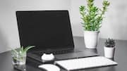 5 simple succulents to keep at your desk