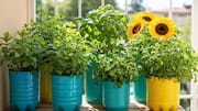 This is how you can repurpose old plastic pots 