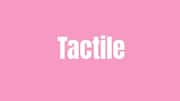 Word of the Day: Tactile