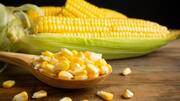 Corn Month: Did you know these amazing benefits of corn