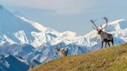 Alaska's most beautiful national parks: A list