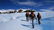 Where to go for glacier hiking in New Zealand