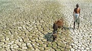 Super El Niño: India braces for scorching heat, erratic rain