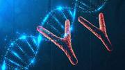 Disappearing Y chromosomes may pave way for new human species