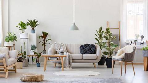 Here is how Feng Shui can help you create wealth Here is how Feng Shui can help you create wealth