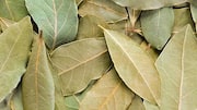 Know your bay leaves: Types and culinary uses 
